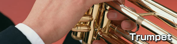 トップイメージ